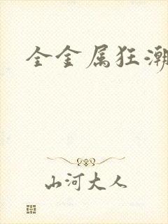 全金属狂潮小说