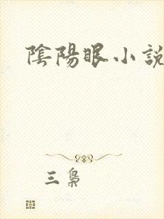 阴阳眼小说