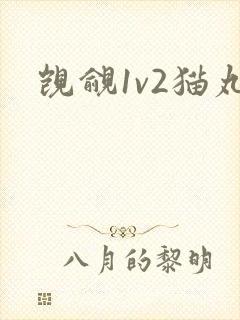 觊觎1v2猫丸
