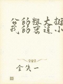 公的粗大挺进了我的密道小说