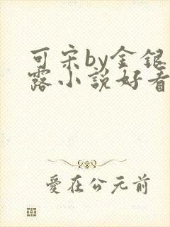 可宋by金银花露小说好看吗