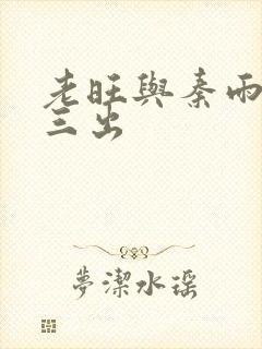 老旺与秦雨三进三出