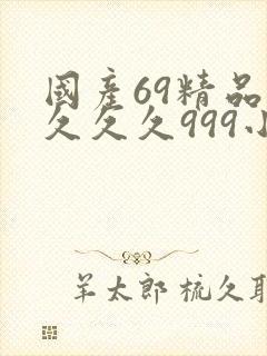 国产69精品久久久久999小说