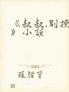 《叔叔,别撩我》小说