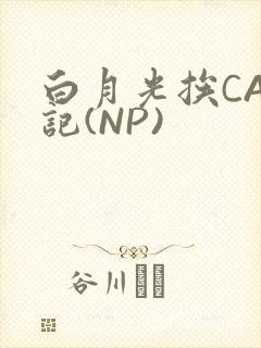 白月光挨CAO记(NP)