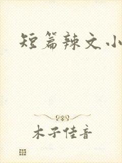 短篇辣文小说