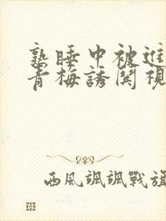 熟睡中被进了H青梅诱哄视频