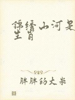 锦绣山河是什么生肖