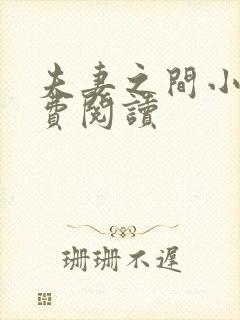 夫妻之间小说免费阅读