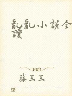 乱乱小说全文阅读