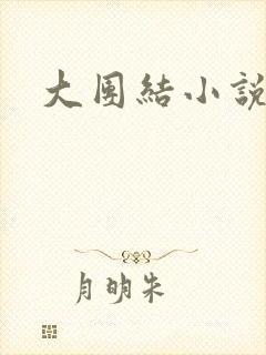 大团结小说全文