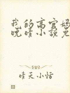 我的高官妈妈苏晚晴小说免费阅读