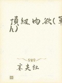 顶级肉欲(军高h)