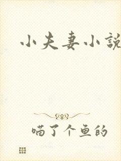 小夫妻小说