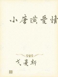 小唐璜爱情历史