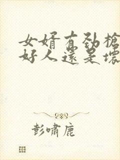 女婿有劲枪枪是好人还是坏人