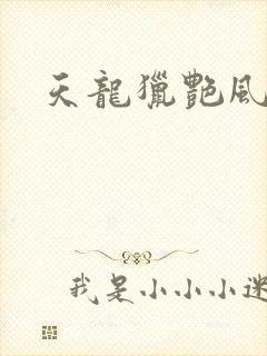 天龙猎艳风流