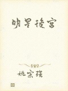 明星后宫