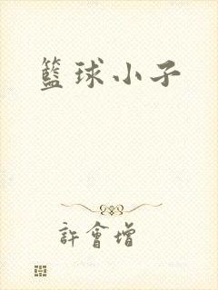 篮球小子