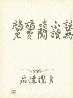 鹧鸪哨小说网站免费阅读无弹窗