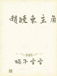 赵晓东主角小说