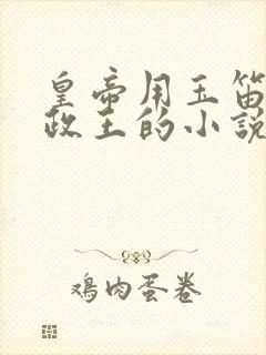 皇帝用玉笛整摄政王的小说