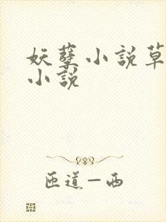 妖孽小说草莓酱小说