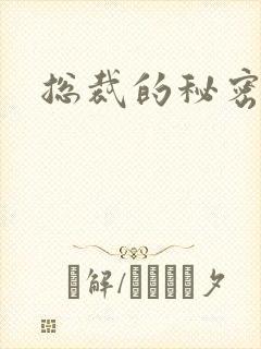 总裁的秘密情人