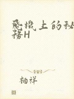 飞机上的秘密服务H