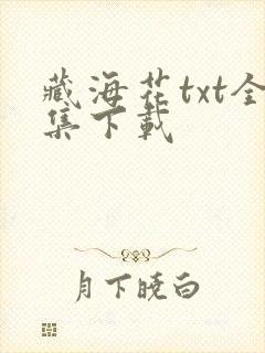 藏海花txt全集下载