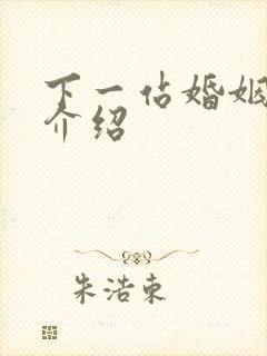 下一站婚姻剧情介绍