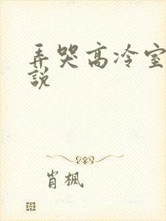弄哭高冷室友小说