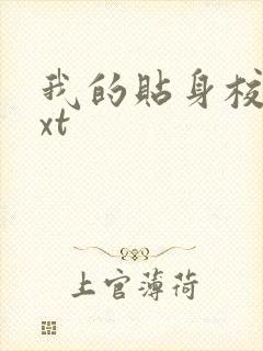 我的贴身校花txt