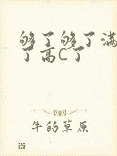 够了够了满到C了高C了