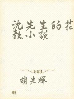 沈先生的花式调教小说