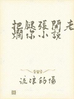 把腿张开老子臊烂你小说