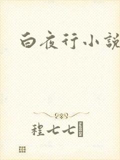 白夜行小说下载