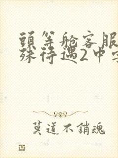 头等舱客服的特殊待遇2中字