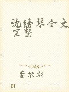 沈绣琴全文阅读完整