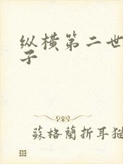 纵横第二世界宽子