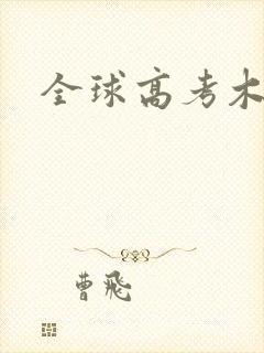 全球高考木苏里