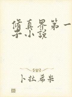 修真界第一病秧子小说