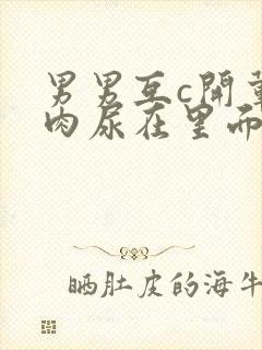 男男互c开荤粗肉尿在里面视频