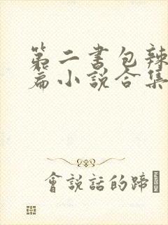 第二书包辣网短篇小说合集