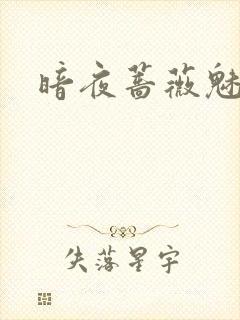 暗夜蔷薇魅