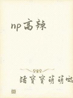 np高辣