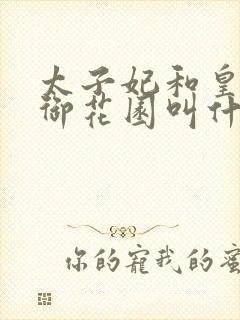 太子妃和皇帝在御花园叫什么小说