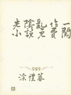 光阴乱作一团的小说免费阅读