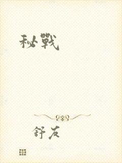 秘战