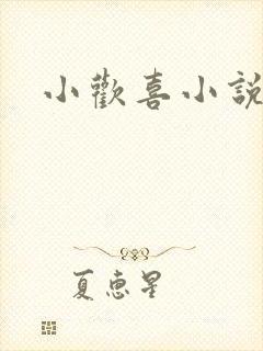 小欢喜小说